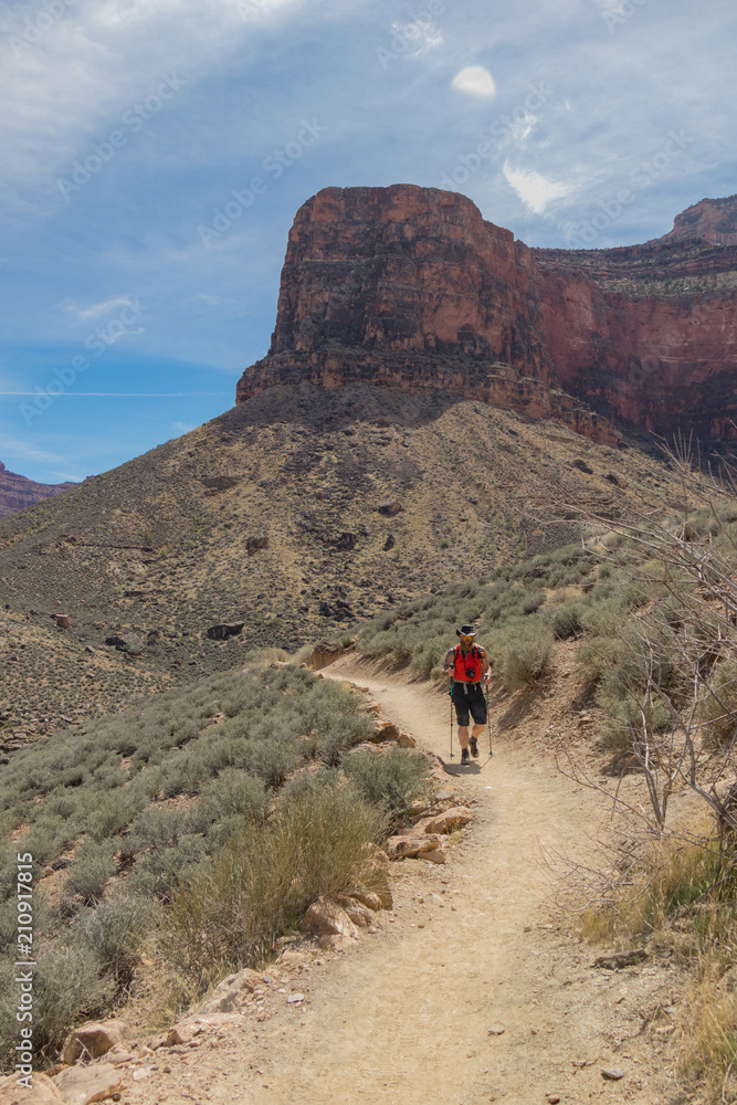 Hiker on the Bright Angel Trail in Grand Canyon National Park, Arizona, USA
