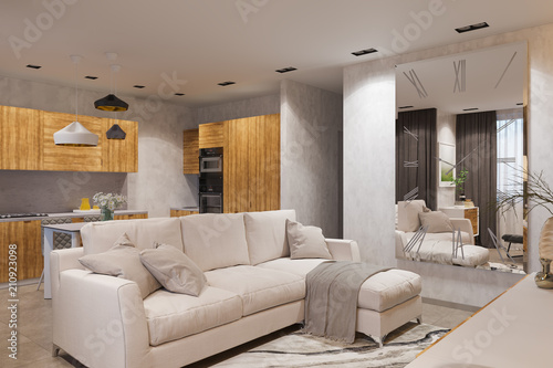 3d render Interior design in Scandinavian style, living room and kitchen © richman21