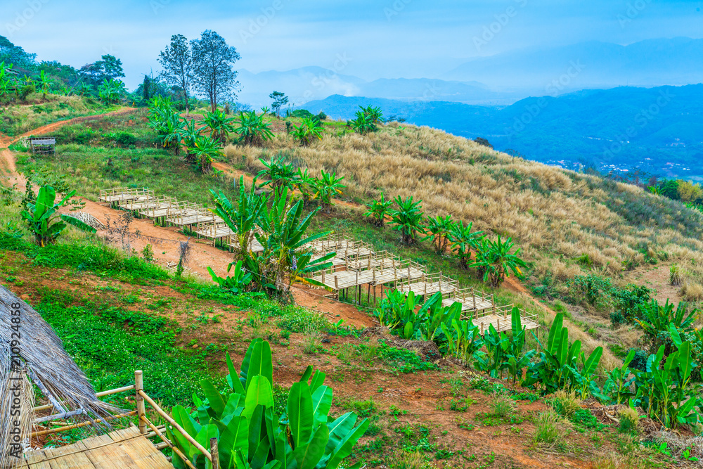 Fototapeta premium Doi Sango viewpoint is on the high and large mountain not far from the golden tri angle viewpoint. Doi Sango have bamboo huts bamboo stage for camping bamboo bridge and bamboo swing