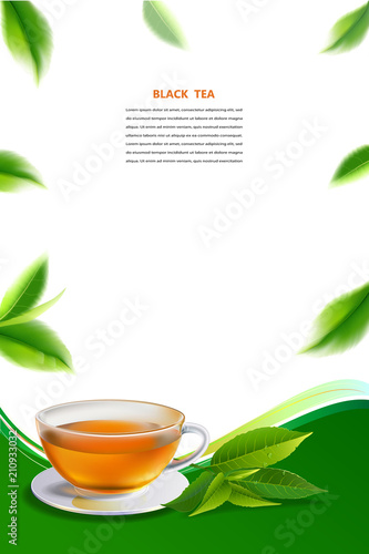 Black tea and green tea cup brochure, banner,  leaves vector.