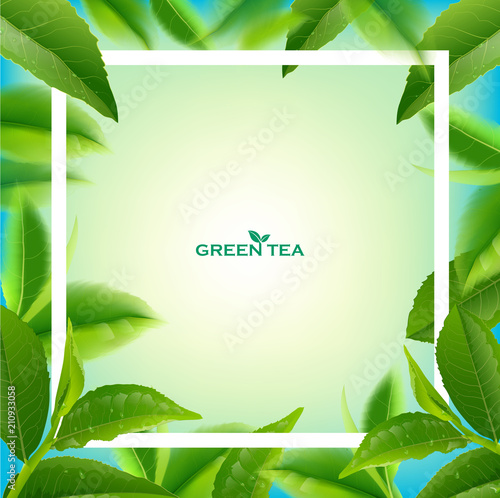 green tea leaves in motion on sky background.