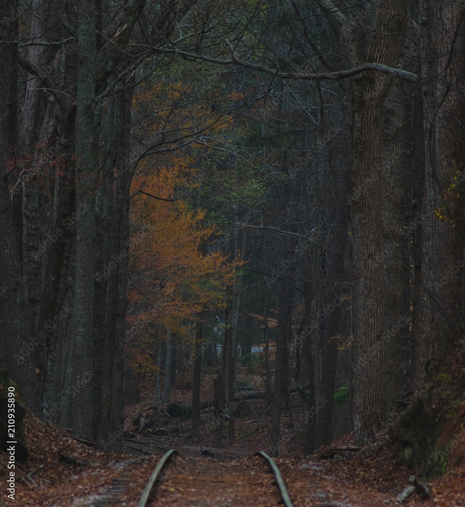 Obraz premium Train Tracks