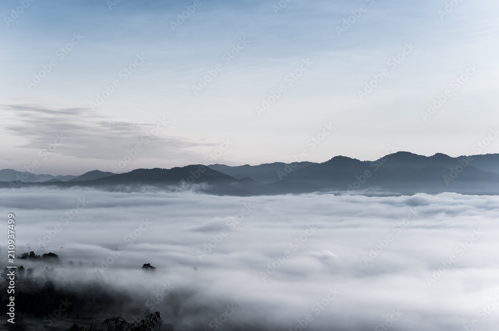 sea of clouds over the forest, Black and white tones in minimalist photography