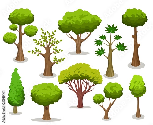 Tree collection. Cartoon natural trees clipart isolated on white background for naturally vector illustrations