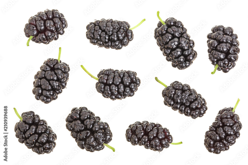 Mulberry berry isolated on white background. Top view. Flat lay Mulberry berry isolated on white background. Top view. Flat lay