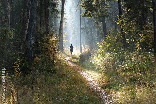 Утро в лесу