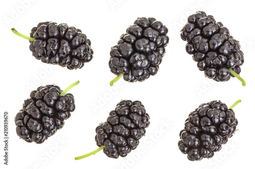 Mulberry berry isolated on white background. Top view. Flat lay