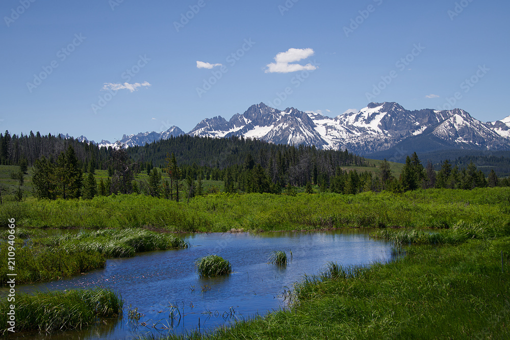 Sawtooth Mountains and Wildflowers 1916