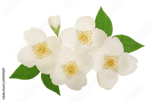 Fototapeta Naklejka Na Ścianę i Meble -  jasmine flower decorated with green leaves isolated on white background closeup