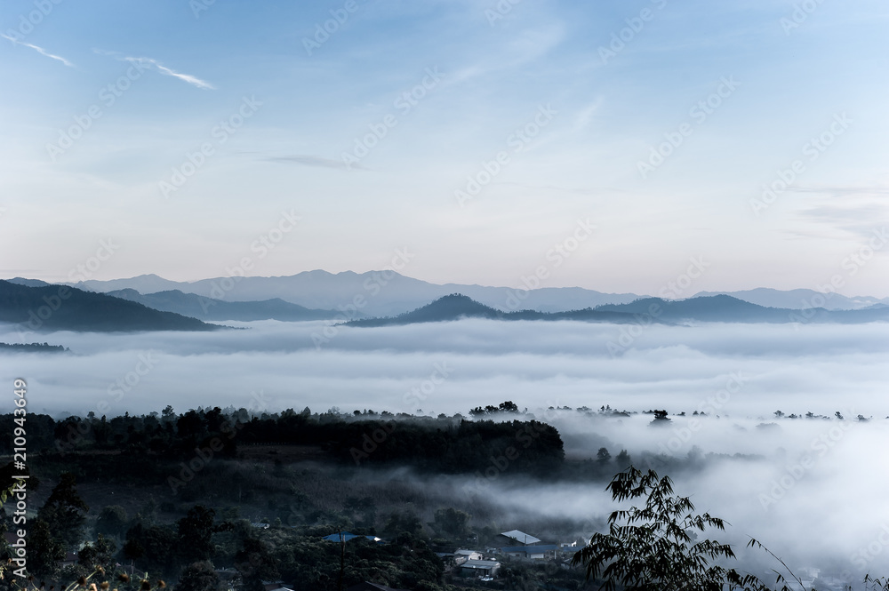Fog above the forest in minimalist photography Fog above the forest in minimalist photography