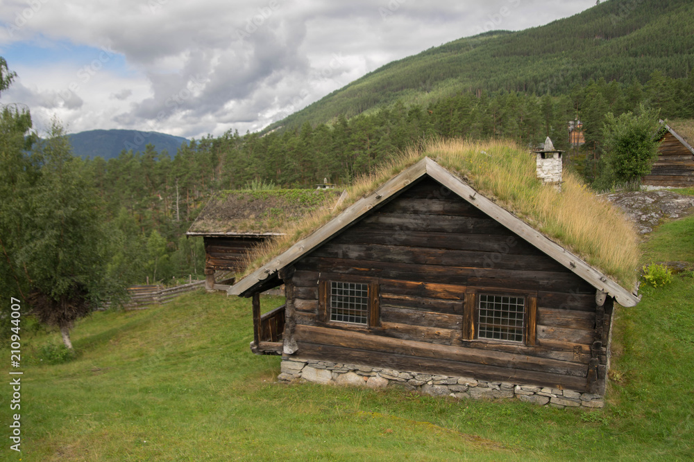 Old houses in ecomuseum in Norway