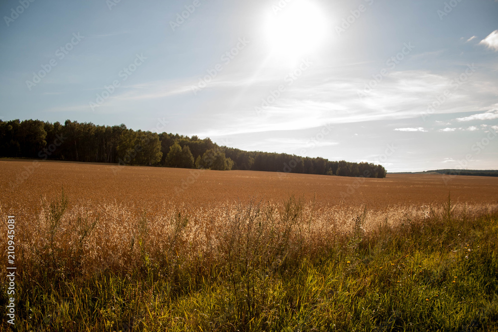 landscape landscape