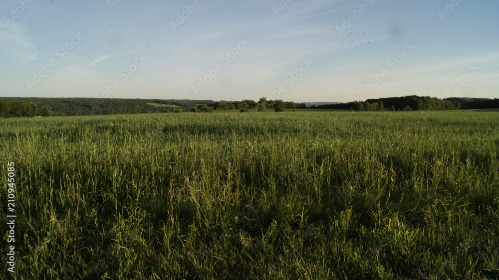 Obraz premium SONY DSC