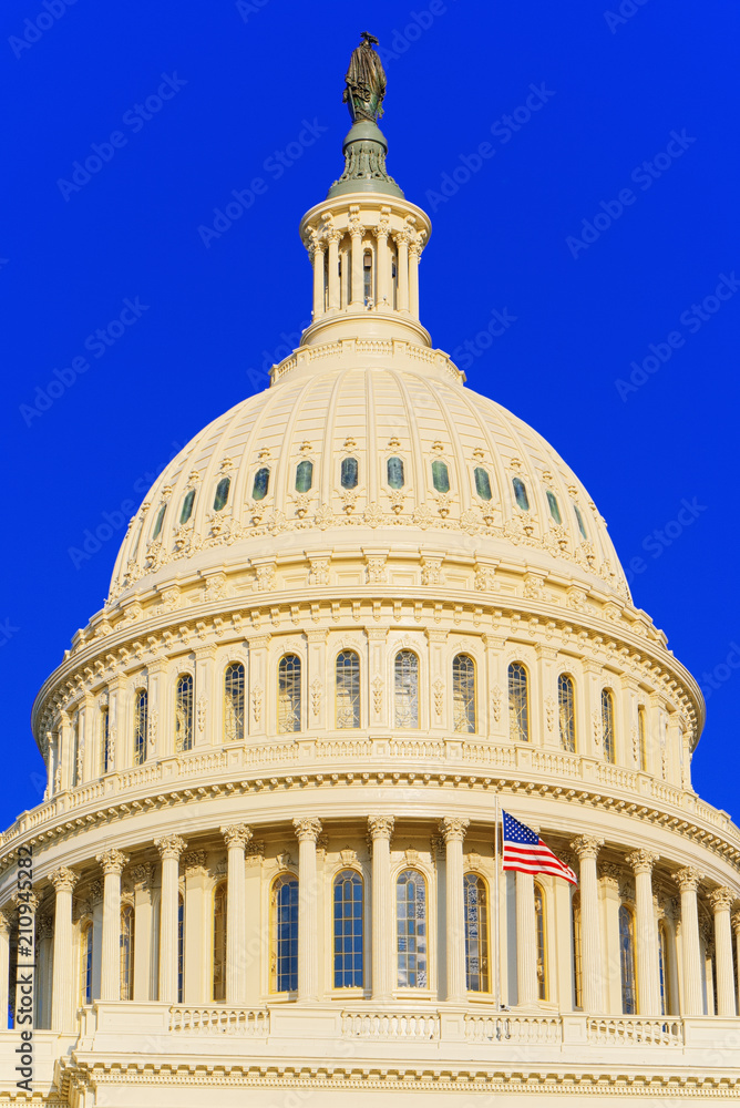 Obraz premium Washington, USA, United States Capitol, often called the Capitol Building.