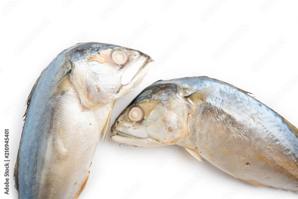 Fresh mackerel on white background. Fresh mackerel on white background.