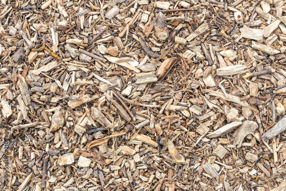 Wooden chips background. Brown wood shavings textured pattern