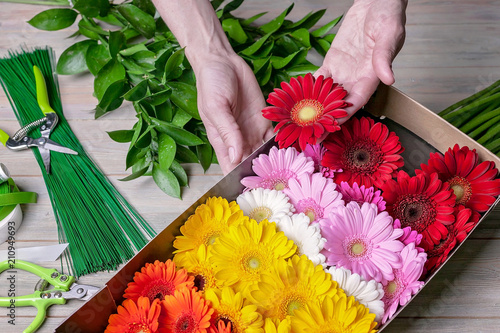 Wallpaper Mural Florist at work. Female hands hold a gerbera flower. Torontodigital.ca