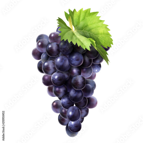 Isolated dark grape design element