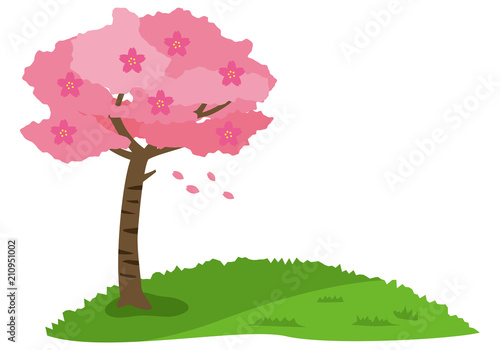 桜の木のイメージイラスト