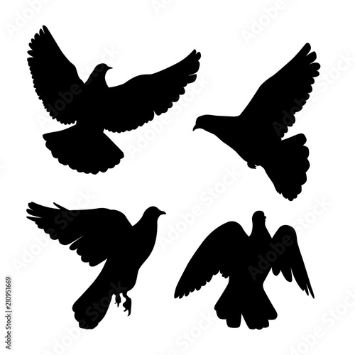 black pigeons silhouette