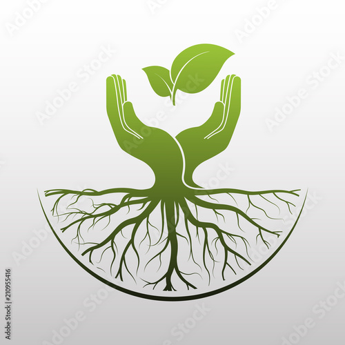 nature icon
