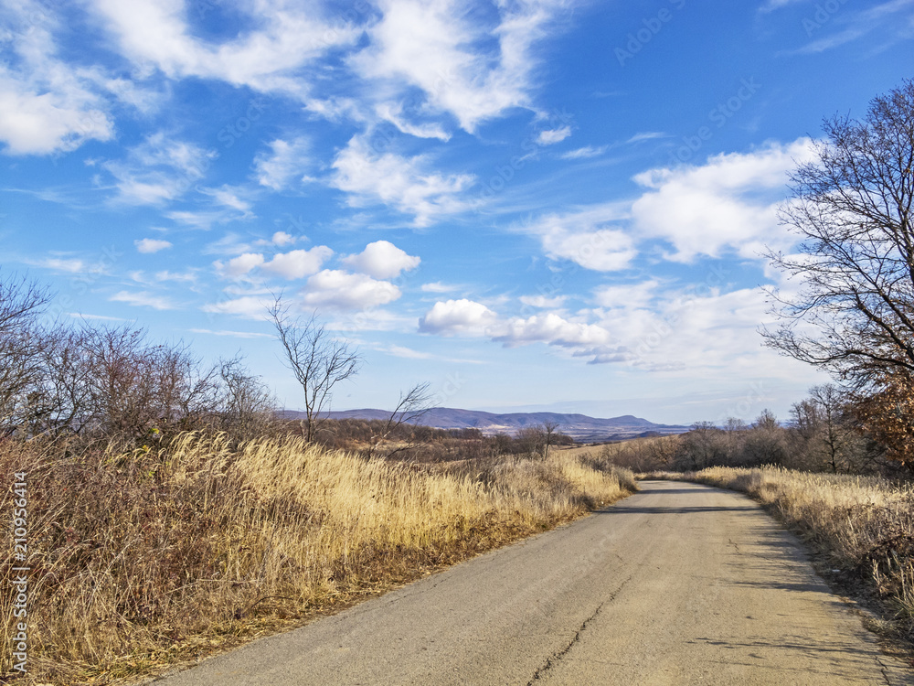 Empty asphalt country road vanishes through winter dry cereal fields Empty asphalt country road vanishes through winter dry cereal fields