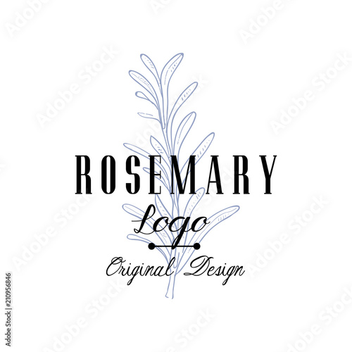 Rosemary logo original design, aromatic culinary spicy herb emblem vector Illustration on a white background