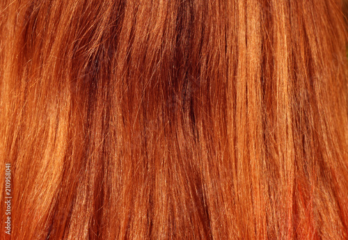 Red colored woman s hair on sun.