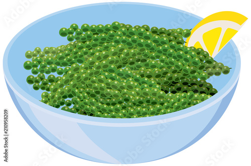 海ぶどうのイメージイラスト Stock ベクター Adobe Stock