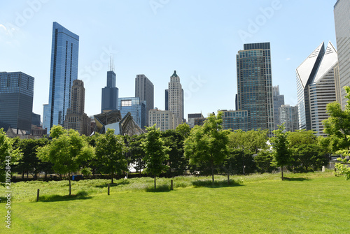 Fototapeta Naklejka Na Ścianę i Meble -  Downtown Chicago view from Grant park