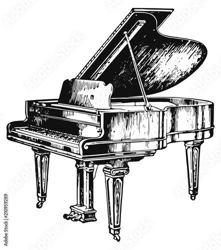 Piano #vector #isolated - Flügel / Klavier