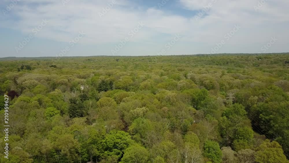 Flying low over blooming foliage in Connecticut's Spring Flying low over blooming foliage in Connecticut's Spring
