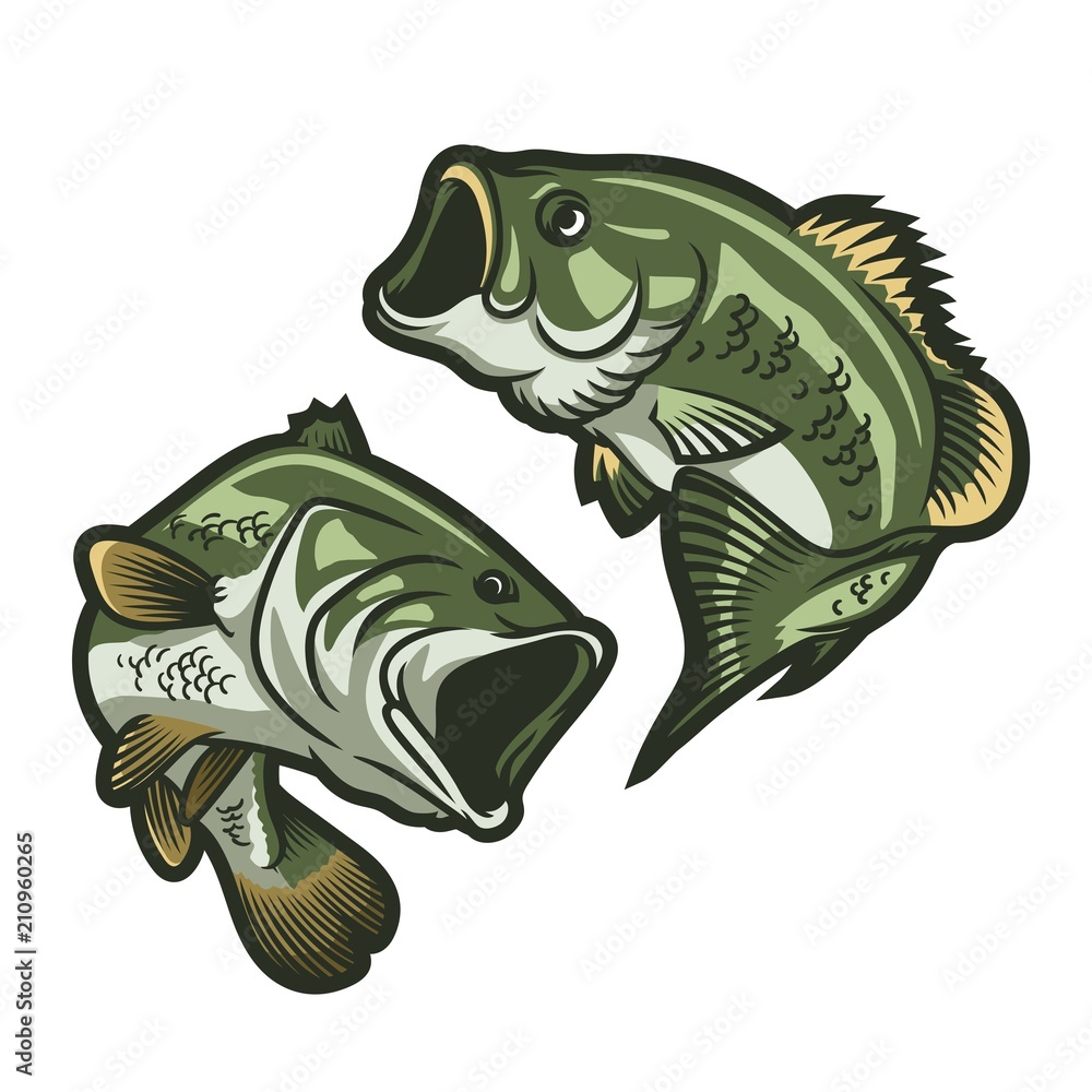 set of big bass fish illustration for fishing logo. Fisherman logo. Fishing  logo Stock Vector