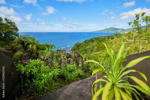 Anse major trail, hiking on nature trail of Mahe, Seychelles photo