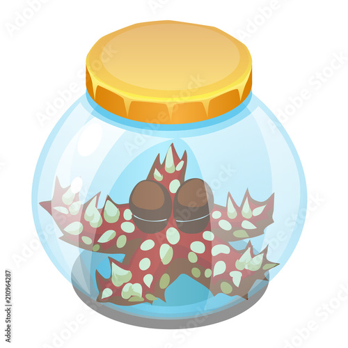 Cartoon starfish sleeping in a glass jar isolated on white background. Vector cartoon close-up illustration.