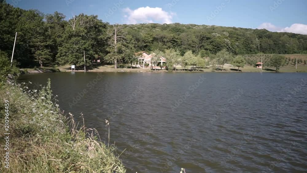 The lake and a view of the forest.. Moldova. The lake and a view of the forest.. Moldova.