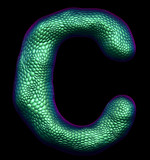 Letter C made of natural green snake skin texture isolated on black.