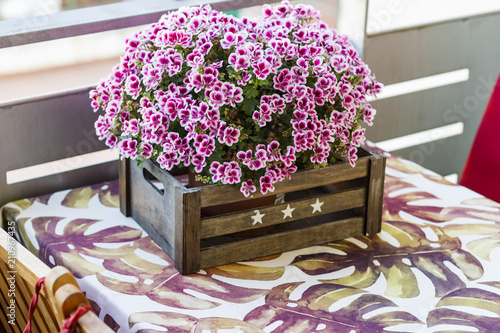 Fototapeta Naklejka Na Ścianę i Meble -  Geraniums on a terrace on the table in a summer day.