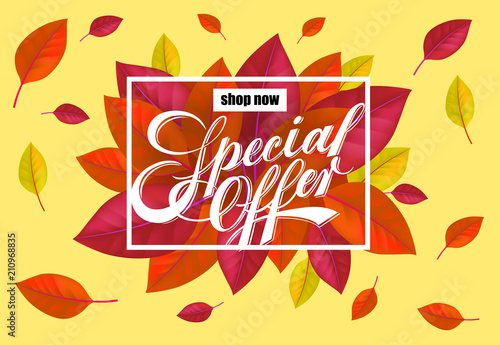 Shop now Special offer lettering with bright colorful leaves. Creative inscription with flying leaves around. Illustration with lettering can be used for banner, posters and leaflets
