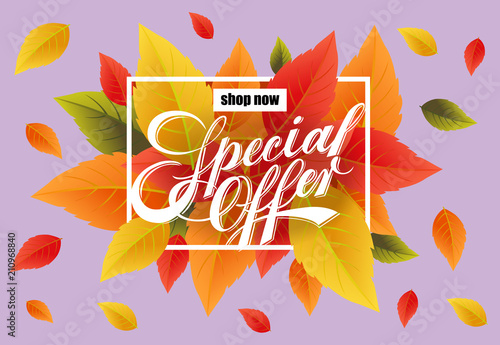Shop now Special offer lettering with leaves in square frame. Creative inscription for autumn shopping sale. Illustration with lettering can be used for banner, posters and leaflets