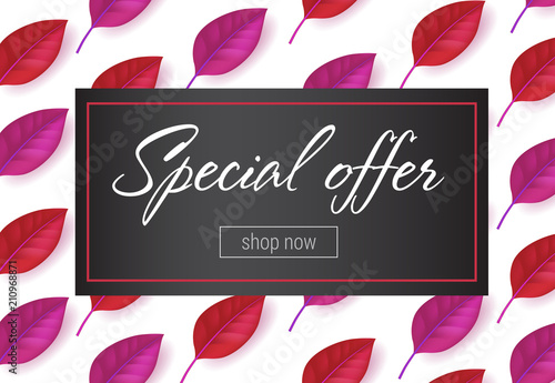 Special offer lettering in frame with leaves pattern. Autumn offer or sale advertising design. Handwritten and typed text, calligraphy. For leaflets, brochures, invitations, posters or banners.