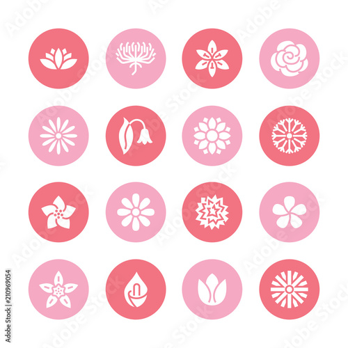 Flowers flat glyph icons. Beautiful garden plants - chamomile, sunflower, rose flower, lotus, carnation, dandelion, violet blossom. Signs for floral store. Solid silhouette pixel perfect 48x48.