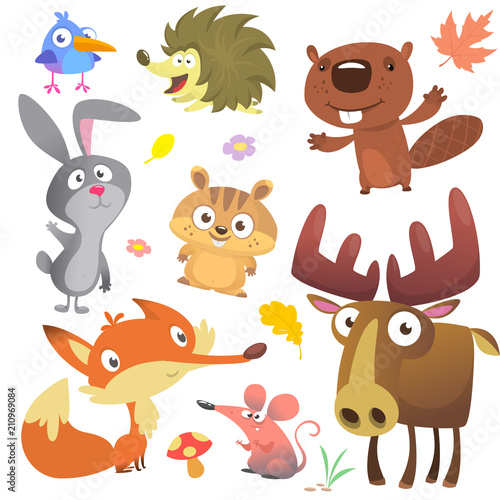 Woodland forest animals birds collection including bird, hedgehog, beaver, bunny rabbit, chipmunk, fox, mouse and moose elk. Autumn leaves and plants. Cartoon vector illustration