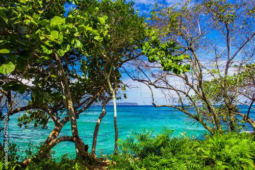 Fototapeta Naklejka Na Ścianę i Meble -  fabulous Caribbean seascape