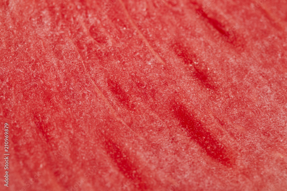 full frame of fresh watermelon as background full frame of fresh watermelon as background