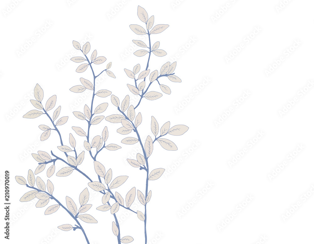 Illustration leaves and branches