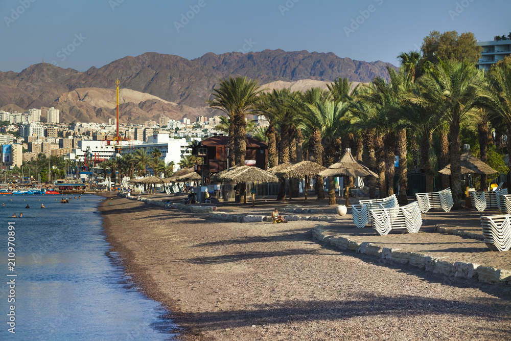 palms embankment and beach in Eilat Israel red sea