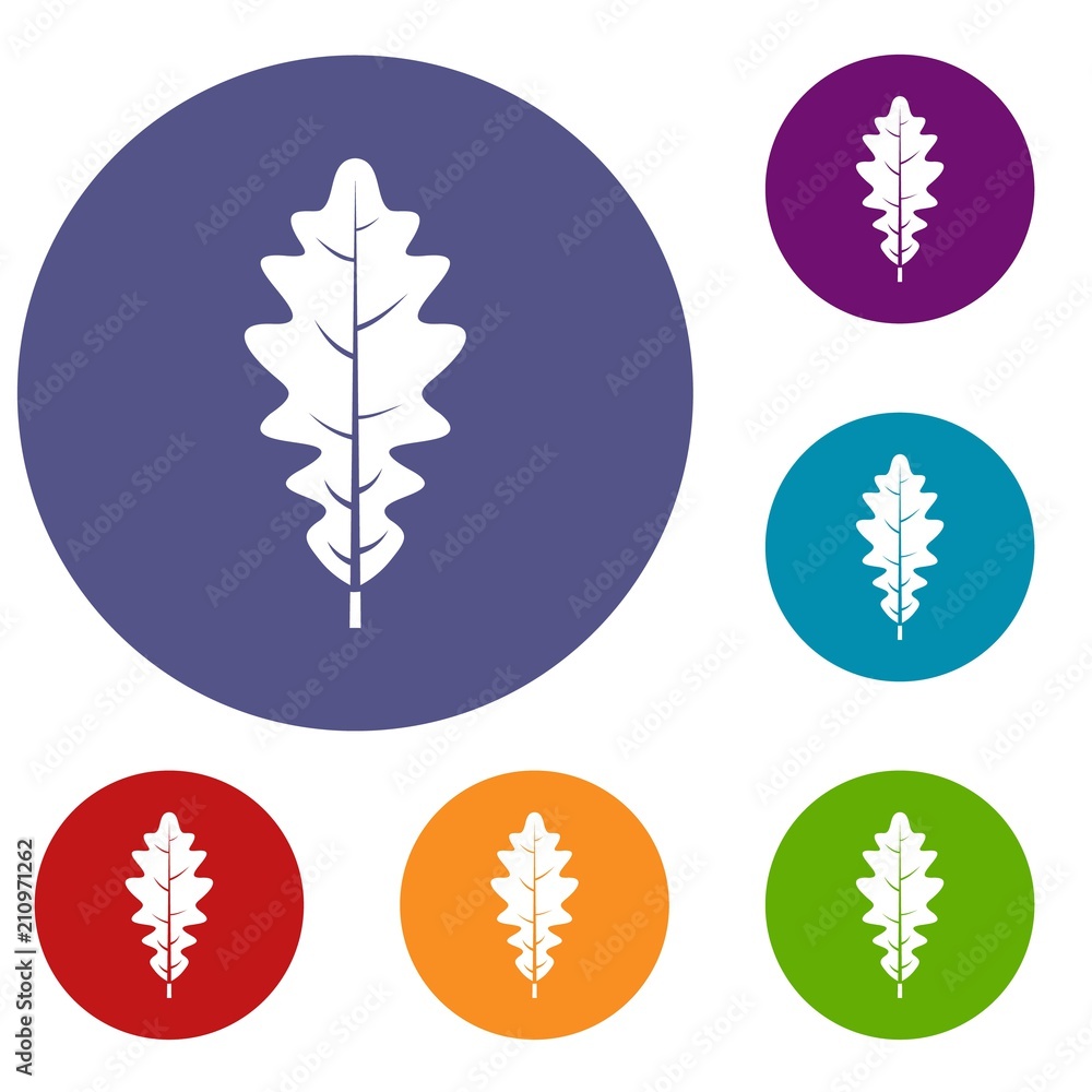 Oak leaf icons set in flat circle red, blue and green color for web Oak leaf icons set in flat circle red, blue and green color for web