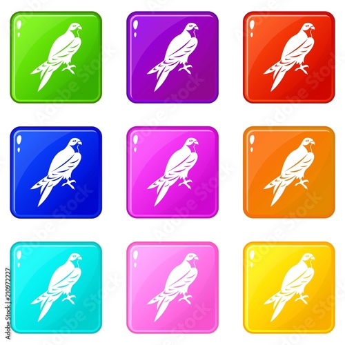 Falcon icons of 9 color set isolated vector illustration