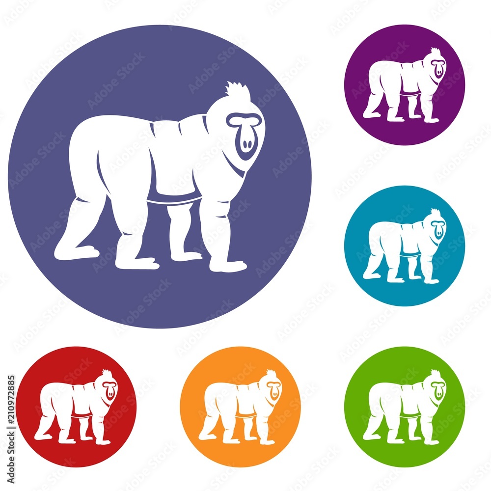 Mandrill monkey icons set in flat circle red, blue and green color for web Mandrill monkey icons set in flat circle red, blue and green color for web